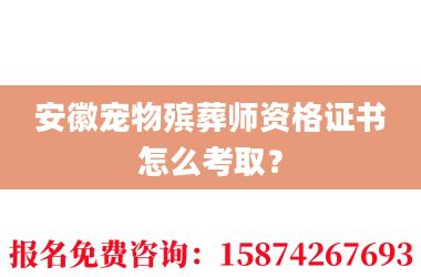 2安徽宠物殡葬师资格证书怎么考取?