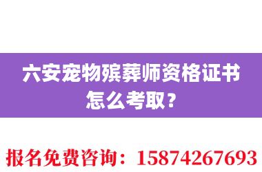 2六安宠物殡葬师资格证书怎么考取？