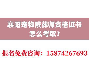 2襄阳宠物殡葬师资格证书怎么考取?