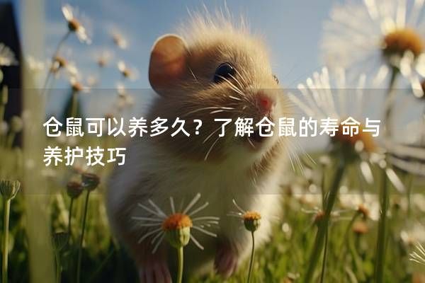 仓鼠可以养多久？了解仓鼠的寿命与养护技巧