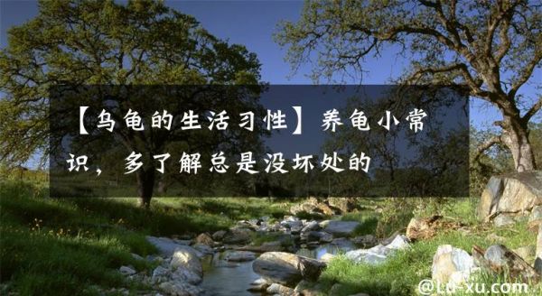 【乌龟的生活习性】养龟小常识，多了解总是没坏处的文章配图