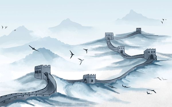本科怎么养宠物