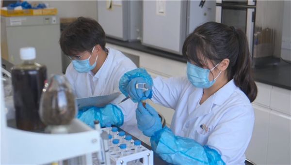 “虫知味”团队：以昆虫蛋白革新宠物食品赛道 温州科技职业学院双创新势力崛起