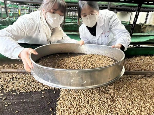 “虫知味”团队：以昆虫蛋白革新宠物食品赛道 温州科技职业学院双创新势力崛起