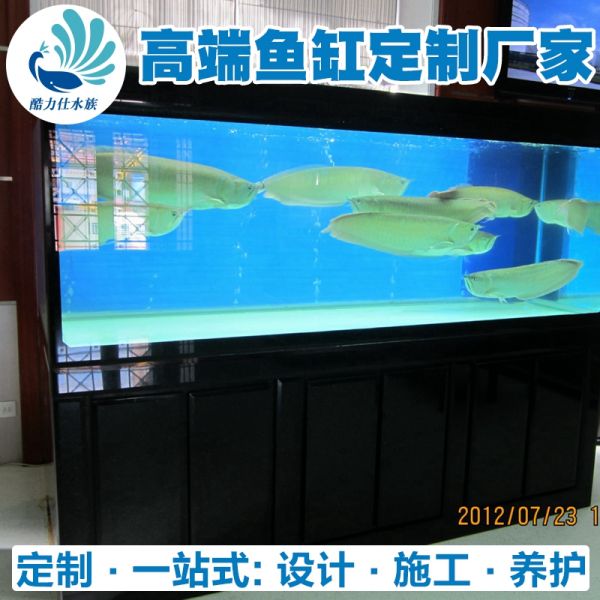 龙鱼缸 (12).jpg