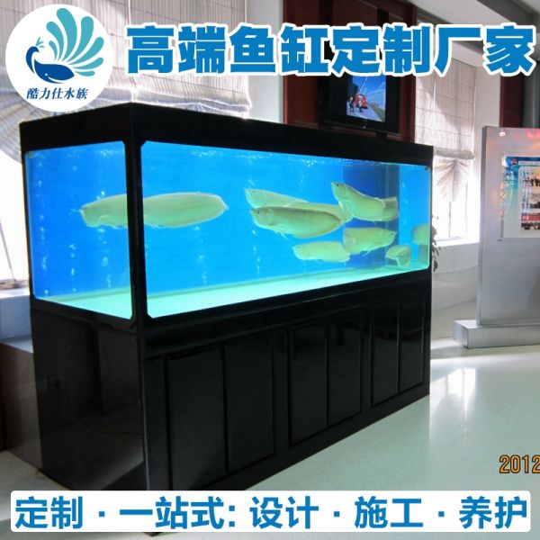 龙鱼缸 (10).jpg