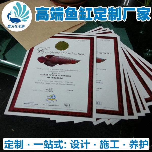 龙鱼缸 (18).jpg