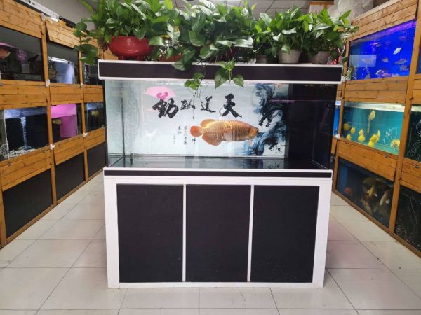 广东深圳市定制鱼缸定制
