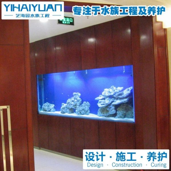 供应大型鱼缸设计施工|承接大型鱼缸定制 鱼缸养护服务