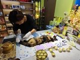 北京宠物殡葬电话24小时专车上门单炉单宠