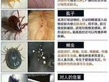 北京昌平天通苑,沙河,清河,24小时宠物医生上门,疫苗