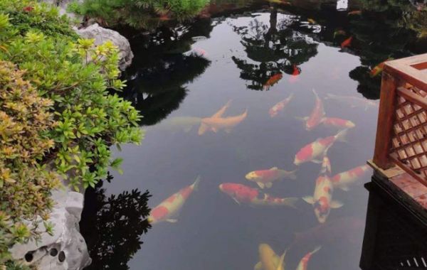 戳我试试