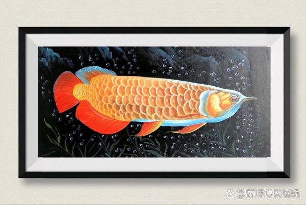 鱼的装饰画图片大全
