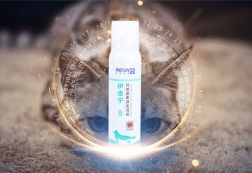 宠物耳螨治疗攻略，关键掌握！