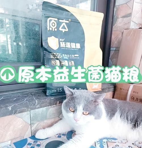 蓝白猫适合使用哪种猫粮容器？
