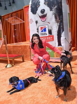 Hill's Pet Nutrition Partners With Actress Cecily Strong On Senior Pets Campaign