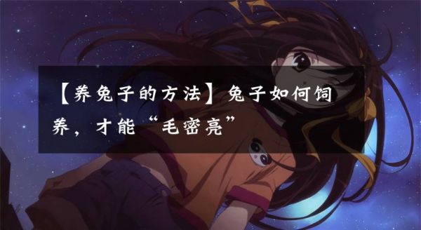 【养兔子的方法】兔子如何饲养，才能“毛密亮”