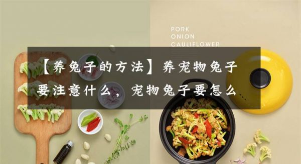 【养兔子的方法】养宠物兔子要注意什么，宠物兔子要怎么饲养