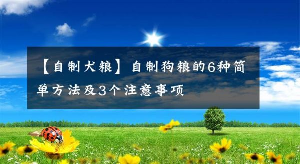 【自制犬粮】自制狗粮的6种简单方法及3个注意事项文章配图