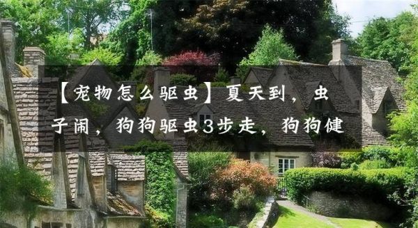 【宠物怎么驱虫】夏天到，虫子闹，狗狗驱虫3步走，狗狗健康不犯愁文章配图