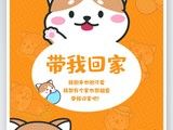 上海徐汇虹梅路领养流浪狗-上海宠物领养中心