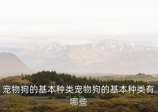 宠物狗的基本种类宠物狗的基本种类有哪些