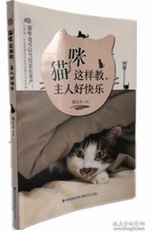 宠物猫饲养与护理要点