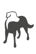Picto-pet-192x285