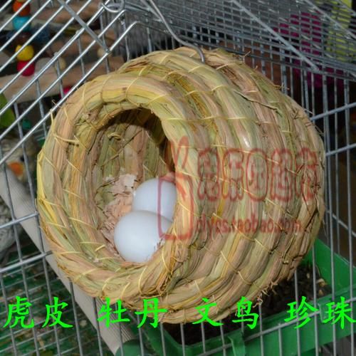 怎样用最简单的方法做一个鸟窝