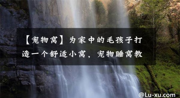 【宠物窝】为家中的毛孩子打造一个舒适小窝，宠物睡窝教程，大小随意可定文章配图