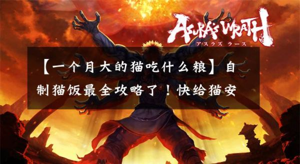 【一个月大的猫吃什么粮】自制猫饭最全攻略了！快给猫安排一下。文章配图