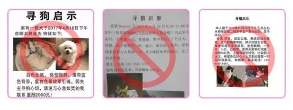 寻物启示