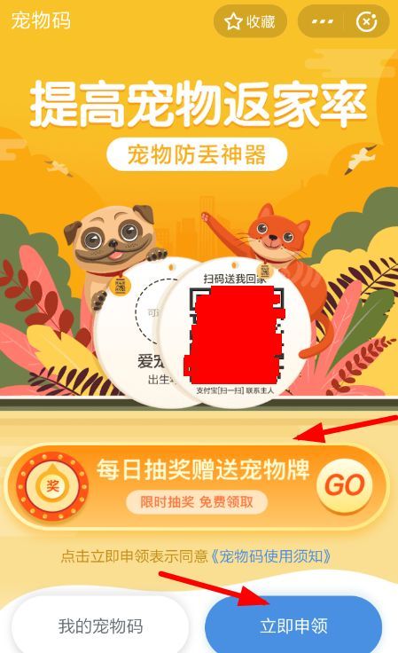 宠物防丢神奇！支付宝宠物码的作用及申请方法