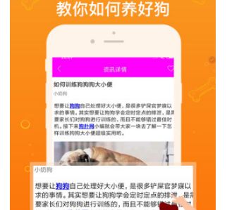 小奶狗