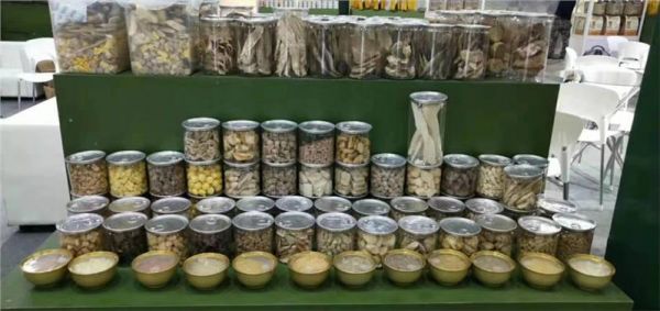 山东膨化宠物粮OEM代工定制公司