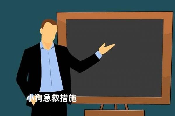 小狗急救措施