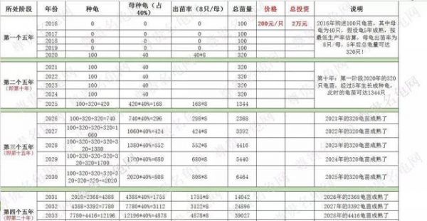 算好这笔账，养龟人想不“富”都难！
