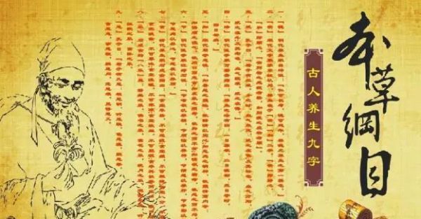 算好这笔账，养龟人想不“富”都难！