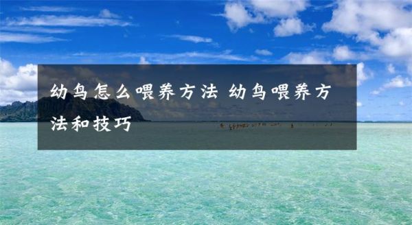 幼鸟怎么喂养方法 幼鸟喂养方法和技巧文章配图