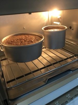 宠物专用蛋糕的做法步骤 第9步