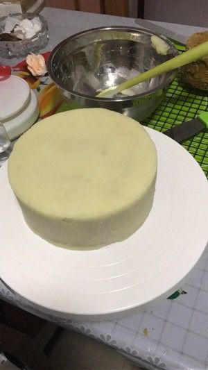 宠物专用蛋糕的做法步骤 第13步