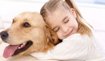 幼犬何时吃干粮?幼犬饮食过渡技巧?