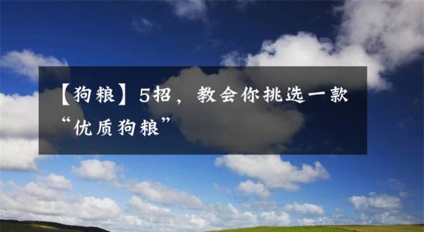 【狗粮】5招，教会你挑选一款“优质狗粮”文章配图