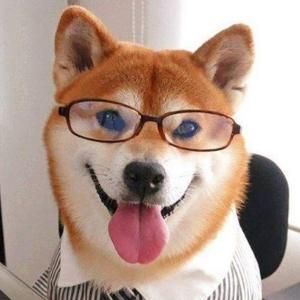 狗大陆Dog头像