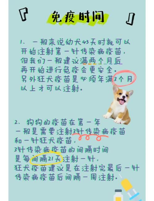 如何提高狗皮肤免疫力