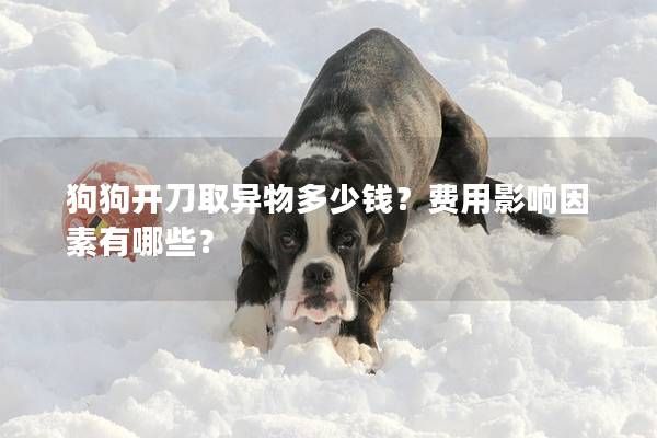 狗狗开刀取异物多少钱？费用影响因素有哪些？