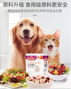 宠物肠胃不适原因及饮食调养