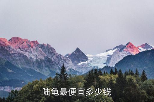 陆龟最便宜多少钱