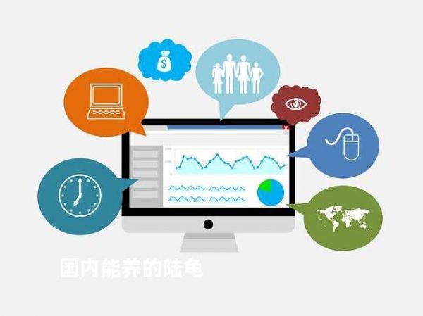 国内能养的陆龟
