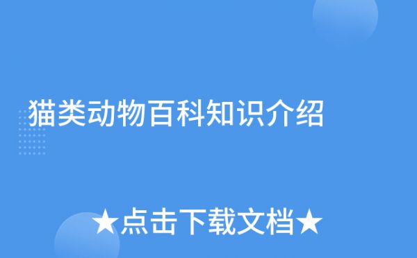 猫类动物百科知识介绍